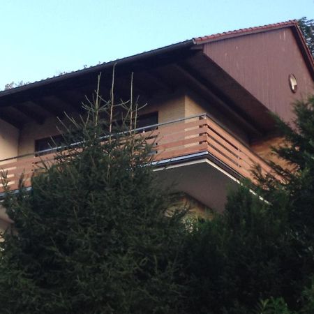 Bergoase Appartement Bad Lauterberg Buitenkant foto